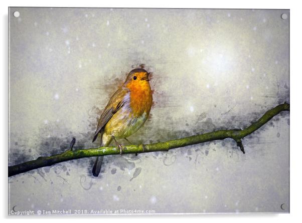Winter Robin Acrylic by Ian Mitchell