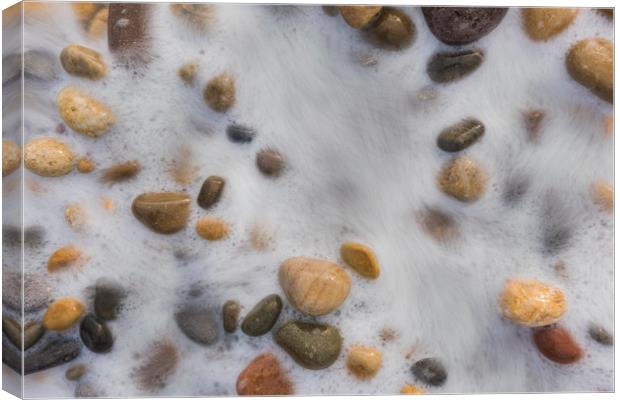 Pebbles washed by the tide. Canvas Print by Bryn Morgan