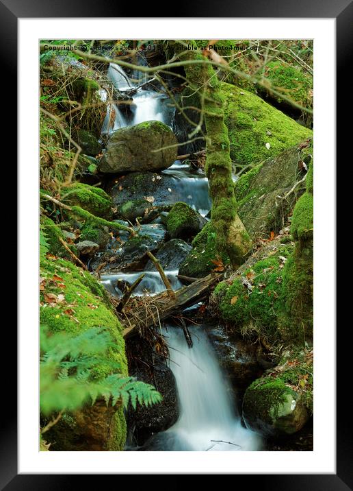 WATER MOSS Framed Mounted Print by andrew saxton