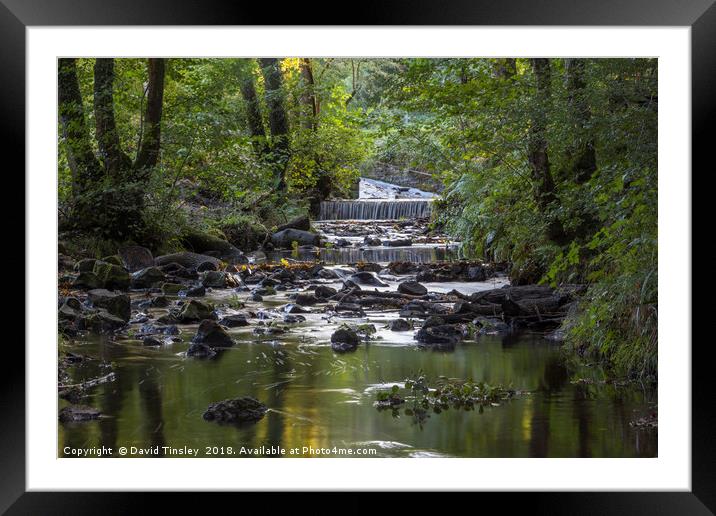 Cannop  Brook Framed Mounted Print by David Tinsley