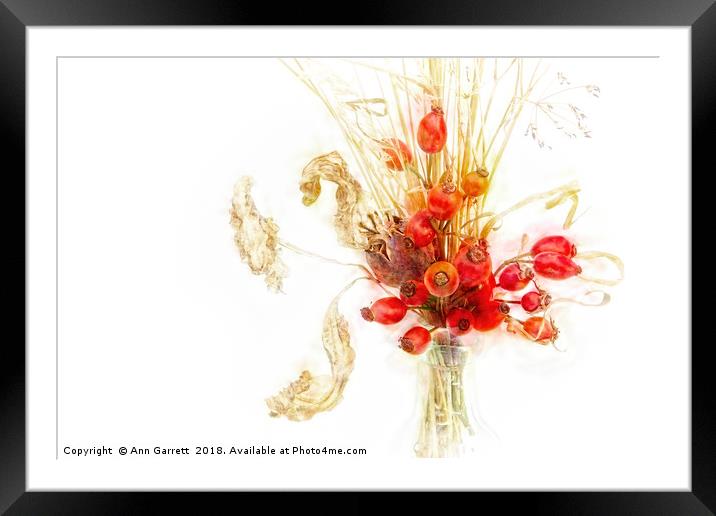 Berries and Grasses Framed Mounted Print by Ann Garrett