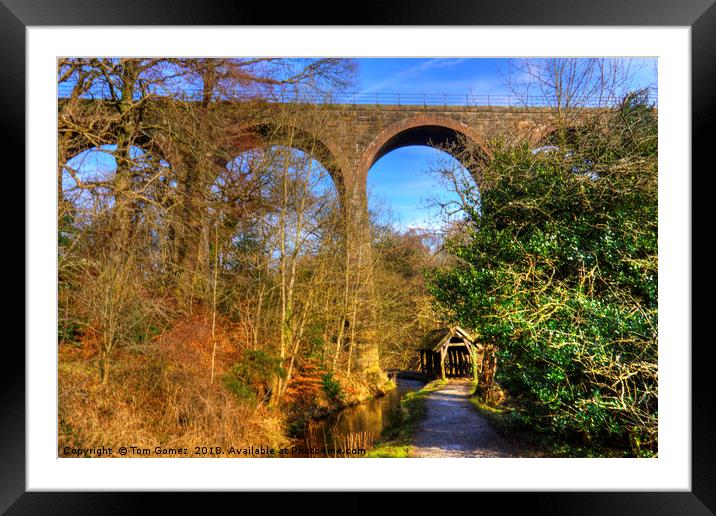 Almondell Viaduct Framed Mounted Print by Tom Gomez