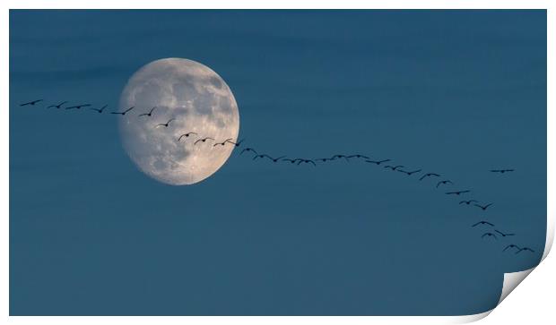 The moon and the geese Print by Gary Pearson