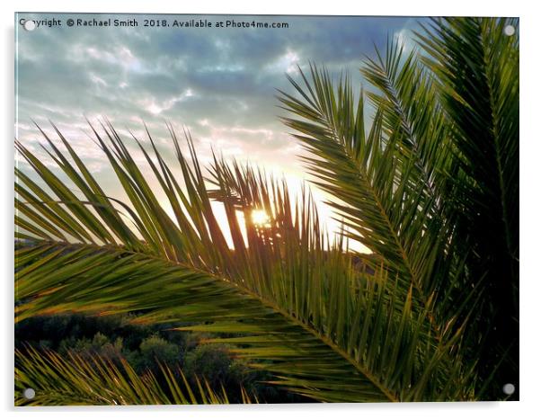Palm tree sunset Acrylic by Rachael Smith