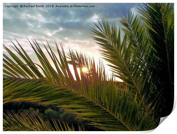 Palm tree sunset Print by Rachael Smith