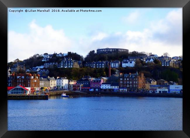 Oban Harbour. Framed Print by Lilian Marshall