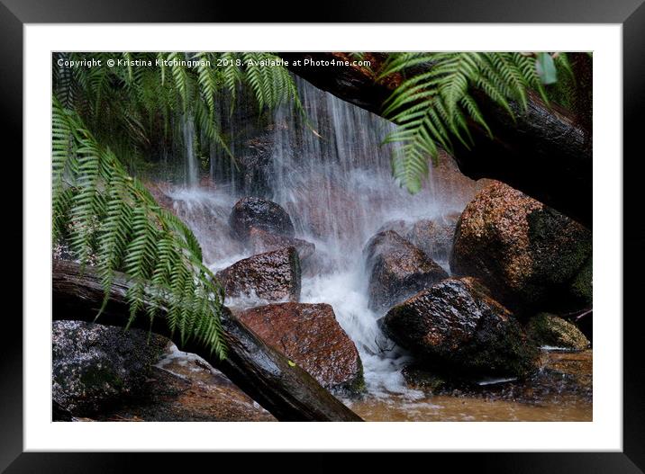                                Falls in the ferns Framed Mounted Print by Kristina Kitchingman