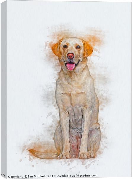 Labrador Retriever Canvas Print by Ian Mitchell