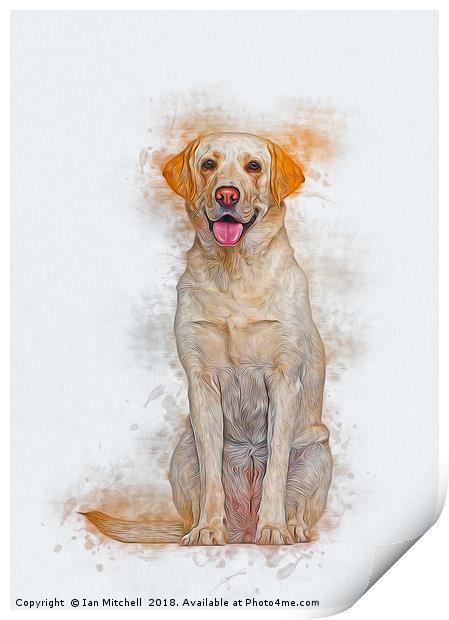Labrador Retriever Print by Ian Mitchell
