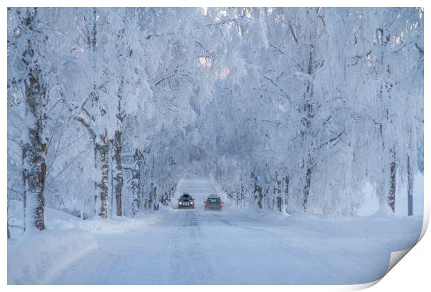 Winter in Sweden Print by Hamperium Photography
