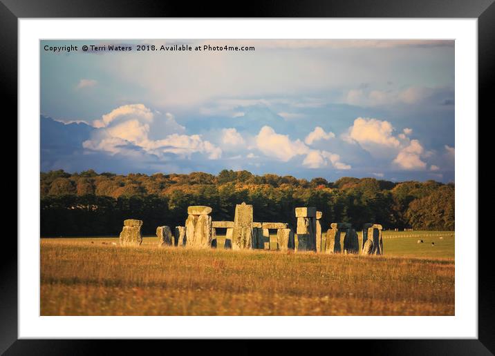 Stonehenge in Autumn Framed Mounted Print by Terri Waters