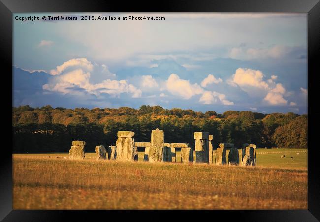 Stonehenge in Autumn Framed Print by Terri Waters