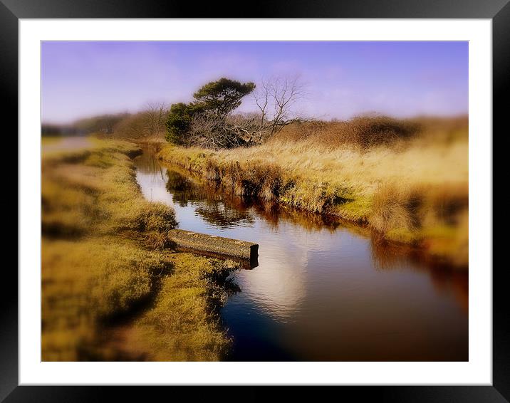 Little River Framed Mounted Print by Louise Godwin