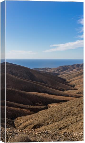 Mountains of Fuerteventura Canvas Print by Steven Fleck