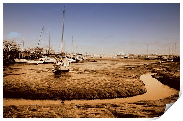 The Tide Is Out! Print by Louise Godwin