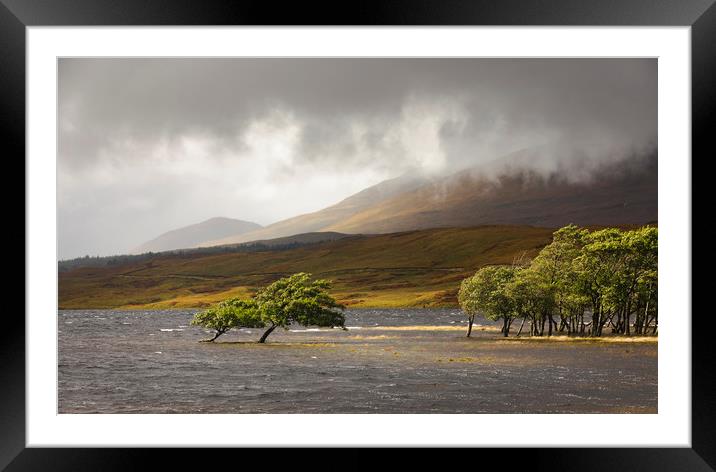 Loch Tulla Trees Framed Mounted Print by Tony Higginson