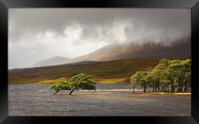 Loch Tulla Trees Framed Print by Tony Higginson