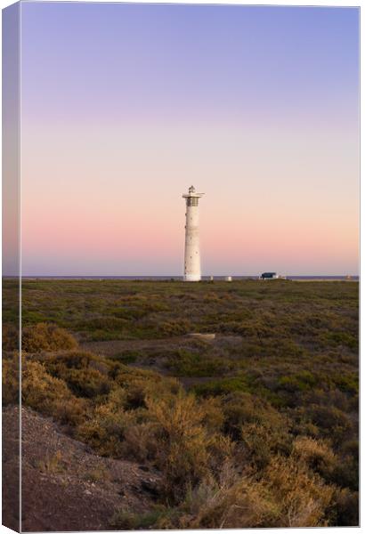 Sunset over Lighthouse, Fuerteventura Canvas Print by Steven Fleck