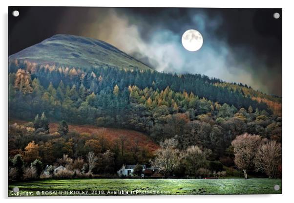 "It was a frosty moonlit night across the mountain Acrylic by ROS RIDLEY