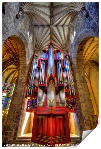 The Organ Print by Danny Cannon