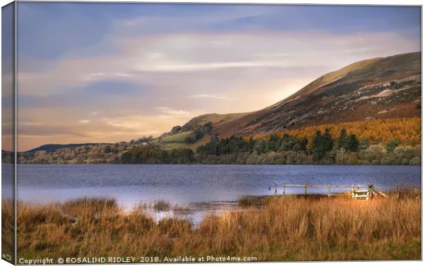 "Golden hour at Loweswater lake" Canvas Print by ROS RIDLEY