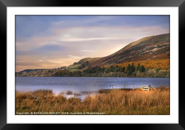 "Golden hour at Loweswater lake" Framed Mounted Print by ROS RIDLEY