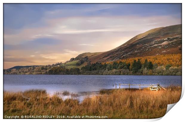 "Golden hour at Loweswater lake" Print by ROS RIDLEY