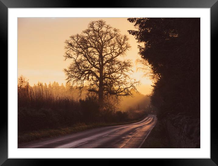 Inverness sunset Framed Mounted Print by Tony Higginson