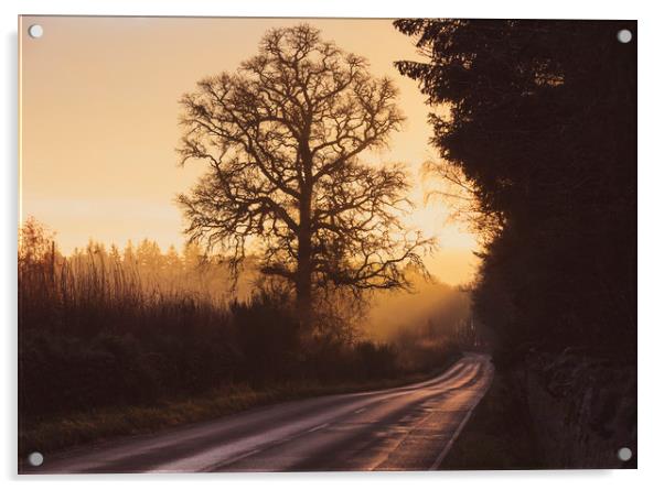Inverness sunset Acrylic by Tony Higginson