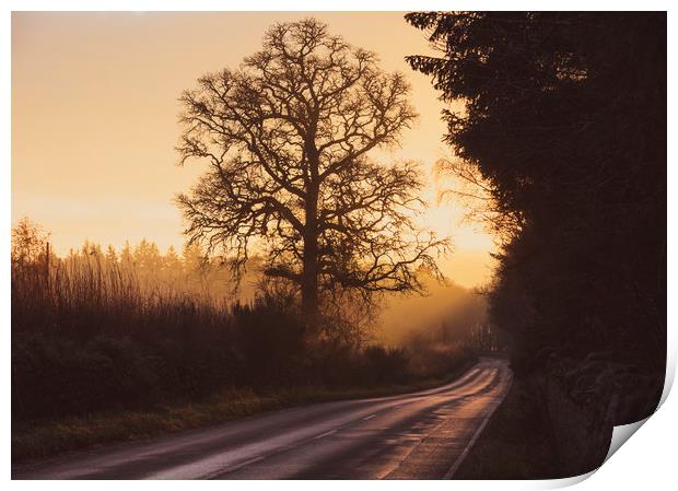 Inverness sunset Print by Tony Higginson