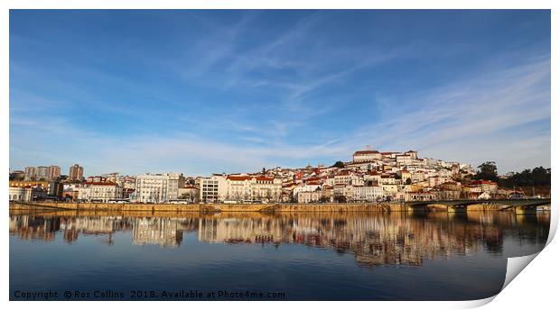 Coimbra Winter Landscape Print by Roz Collins
