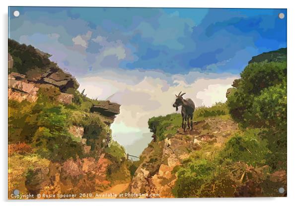Goat at Valley of The Rocks North Devon Acrylic by Rosie Spooner