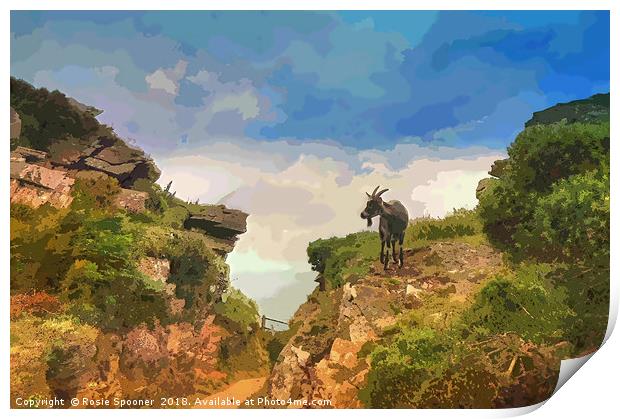 Goat at Valley of The Rocks North Devon Print by Rosie Spooner