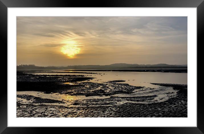 Budle Bay Nature Habitat Framed Mounted Print by Naylor's Photography