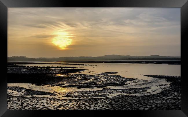 Budle Bay Nature Habitat Framed Print by Naylor's Photography