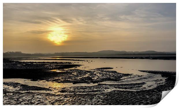 Budle Bay Nature Habitat Print by Naylor's Photography