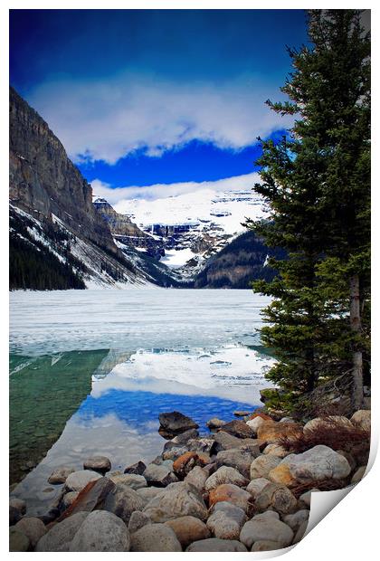 Lake Louise Victoria Glacier Canada Print by Andy Evans Photos