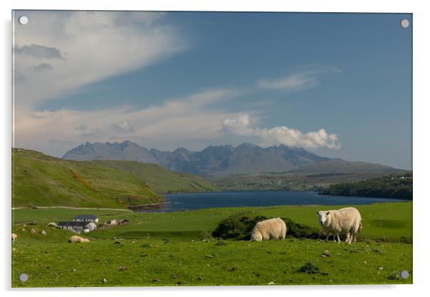 Isle of Skye Acrylic by Thomas Schaeffer