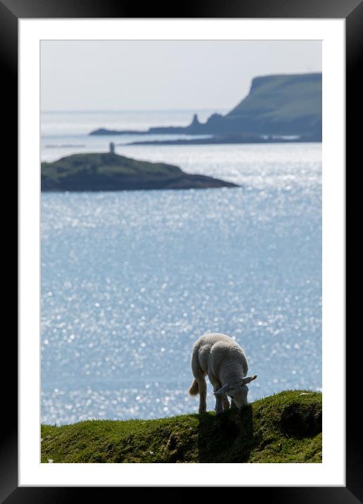 Isle of Skye Framed Mounted Print by Thomas Schaeffer