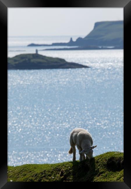 Isle of Skye Framed Print by Thomas Schaeffer