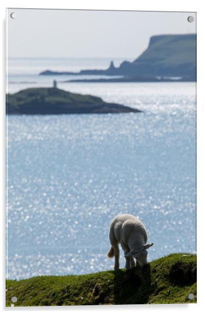 Isle of Skye Acrylic by Thomas Schaeffer