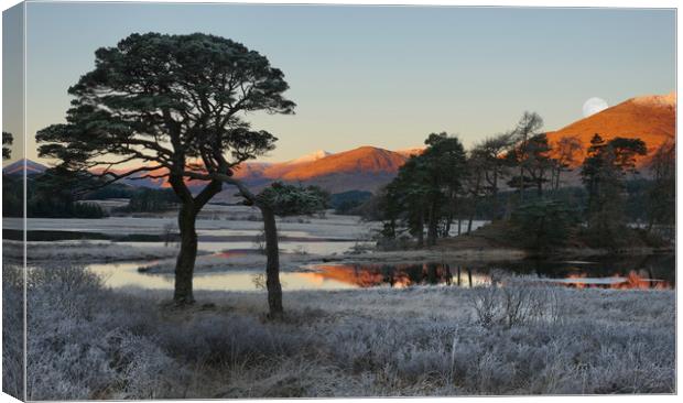 Loch Tulla at dawn in December Canvas Print by JC studios LRPS ARPS