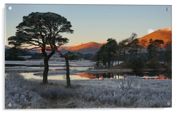 Loch Tulla at dawn in December Acrylic by JC studios LRPS ARPS