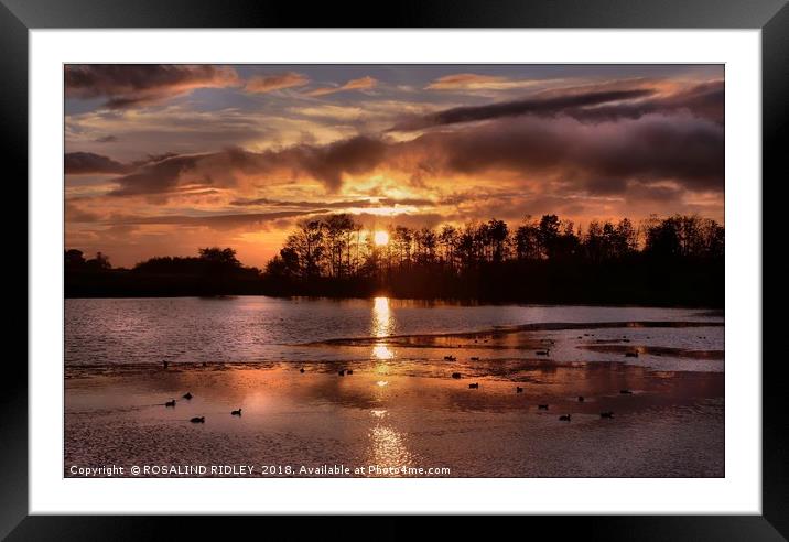 "Autumn sunset at the lake" Framed Mounted Print by ROS RIDLEY