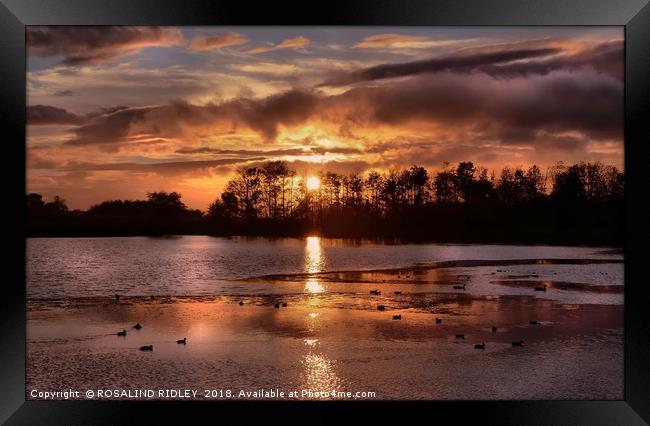 "Autumn sunset at the lake" Framed Print by ROS RIDLEY