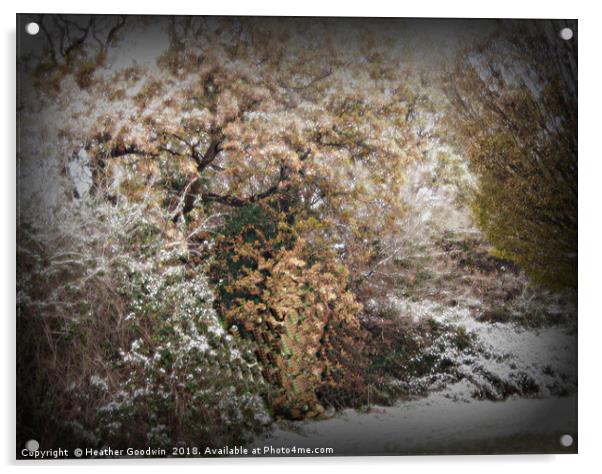 A Winter's Tale Acrylic by Heather Goodwin