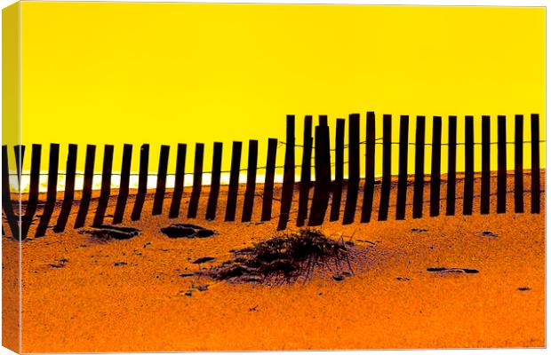 Beach Fence Canvas Print by David Hare