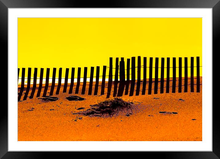 Beach Fence Framed Mounted Print by David Hare