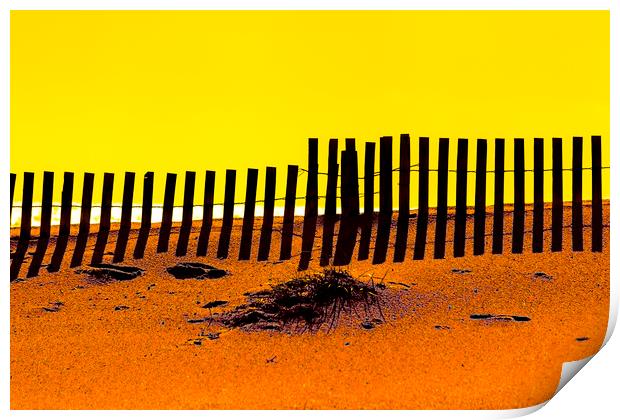 Beach Fence Print by David Hare