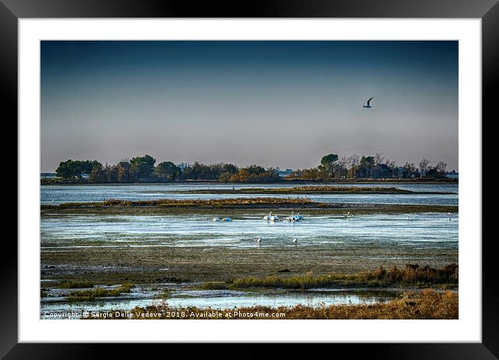 The lagoon in Camargue park Framed Mounted Print by Sergio Delle Vedove
